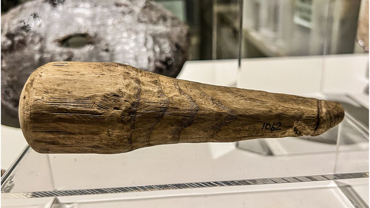 V Británii zkoumali dřevěný pyj z doby římské, o hračku zřejmě nešlo